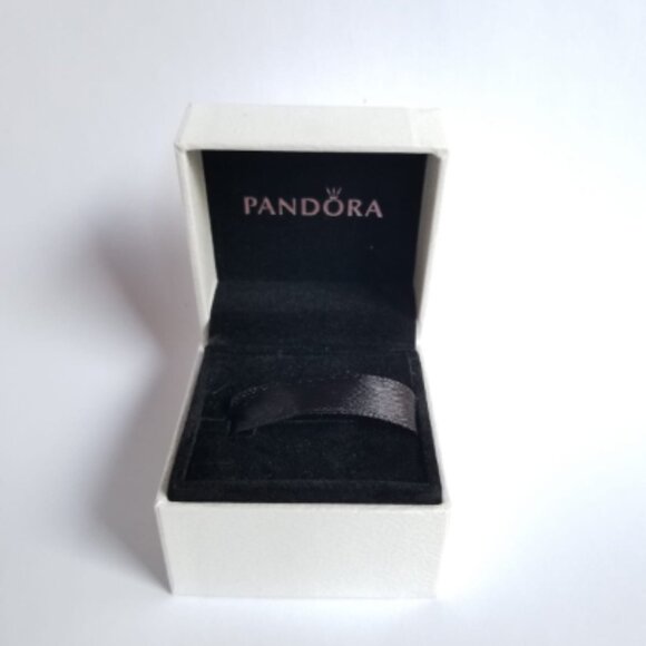 AUTHENTIC PANDORA CAMERA PHOTOGRAPHY SILVER 925 ALE CHARM + BOX # 176 - Picture 5 of 6